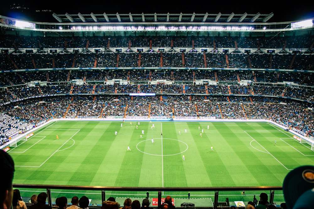Soccer stadium fans